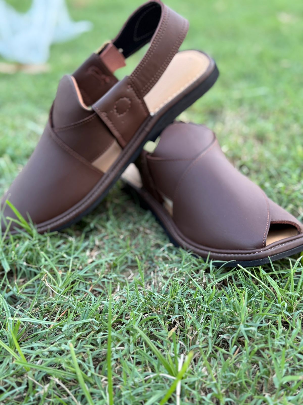 SMART GOLTI  CHOCOLATE BROWN (original Leader)